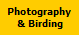 Photography
 & Birding