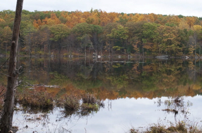 Clamshell Pond Oct