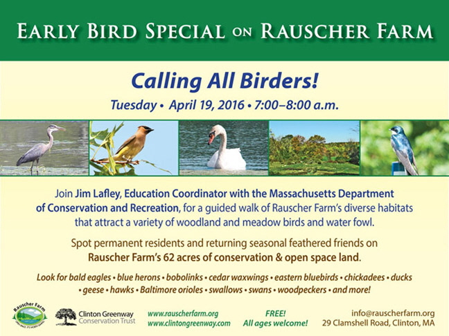 2016_RF_earlybird_slide96 small