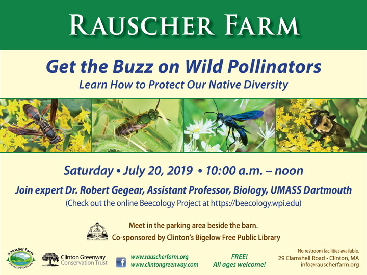 2019_RF_bees_slide