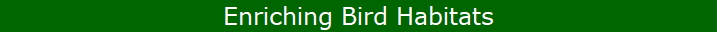 Enriching Bird Habitats