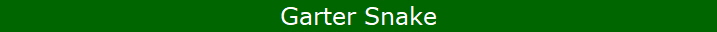 Garter Snake