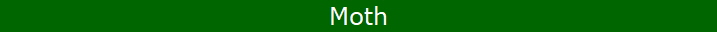 Moth