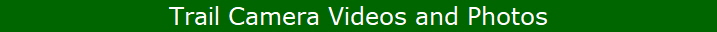 Trail Camera Videos and Photos