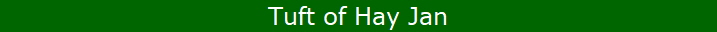 Tuft of Hay Jan